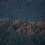 Falkensteinwanderung 2013