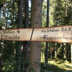 Wandern & Dinieren