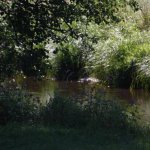 Wandern & Dinieren