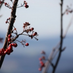 Falkensteinwanderung 2013