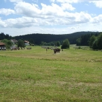 Bayerische Böllerschützentreffen in Langdorf v. G.B., Bild 1980