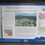 Lusenwanderung v. G.B., Bild 2440