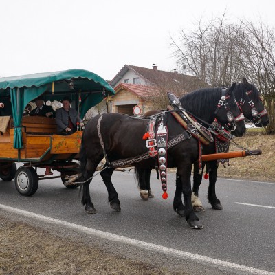 Fotoshow zum 50-jährigen Jubiläum